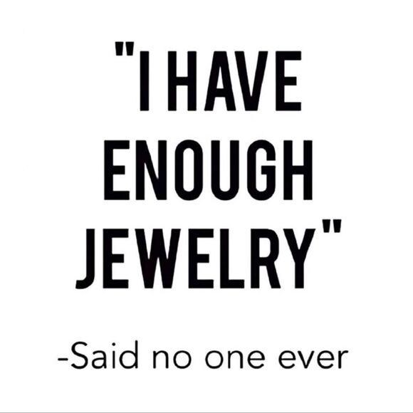 Christopher & Banks Silver and Gold Drop Fish Hook Earrings - Picture 7 of 7